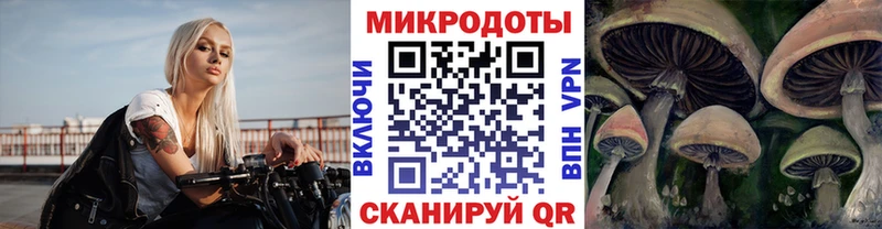 Купить закладки Георгиевск Псилоцибиновые грибы мухоморы