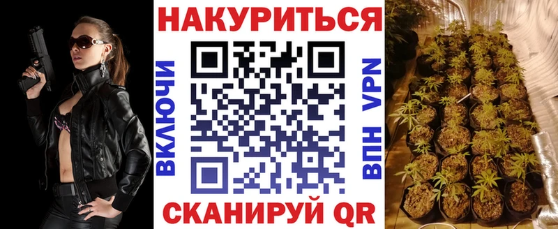 Купить где Георгиевск Бошки марихуана White Widow